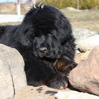 Портфолио Мария